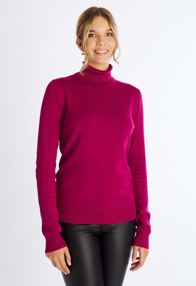 Pull col roulé maille fine - Pull 